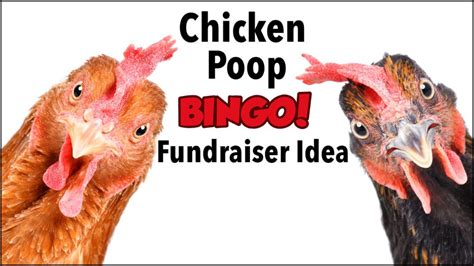 The Big Apple: Chicken Bingo (Chicken Poop Bingo; Chicken.